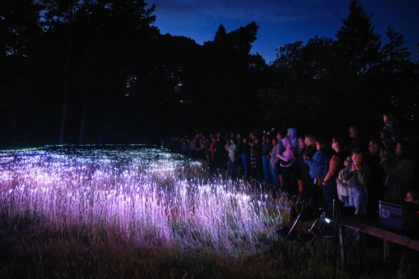 The &lsquo;Ecological Futures&rsquo; Competition: Visualising Sustainability at the St Andrews Botanic Garden
